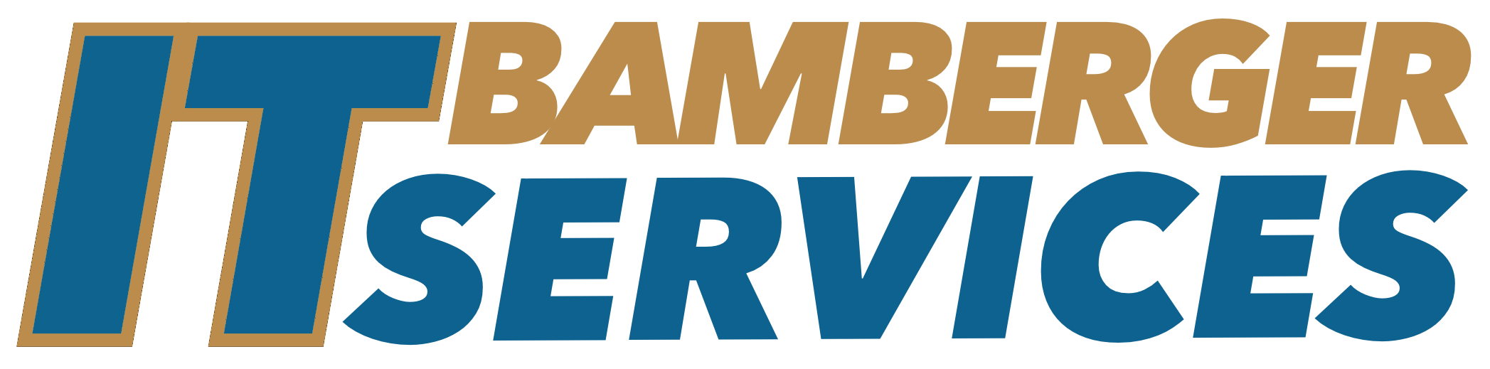 Bamberger IT-Services Logo
